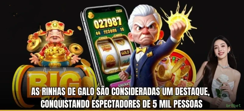 Plataforma br8bet - cassino e apostas